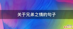 关于兄弟之情的句子