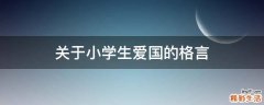 关于小学生爱国的格言