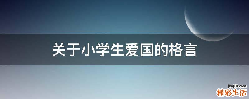 关于小学生爱国的格言