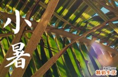 小暑是2023的几月几日