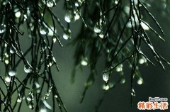 2023年苏州几号入梅 2023年苏州梅雨季节起止日期
