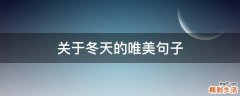 关于冬天的唯美句子