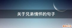 关于兄弟情怀的句子