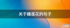 关于睡莲花的句子