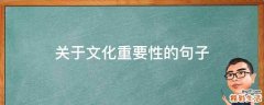 关于文化重要性的句子