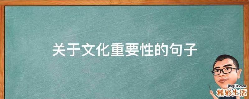 关于文化重要性的句子