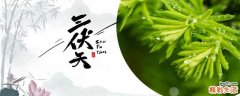 三伏天气吃什么去湿气效果好 三伏天不吃冰的好处