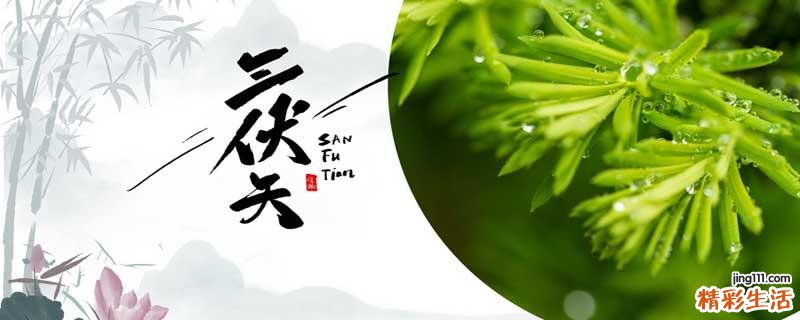 三伏天气吃什么去湿气效果好 三伏天不吃冰的好处