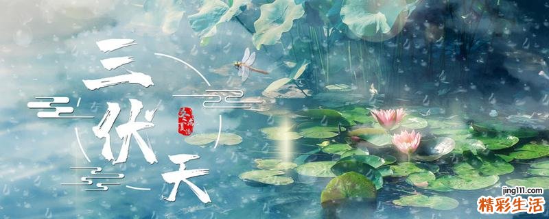 初伏可以喝姜枣茶吗 姜枣茶祛湿需要多久见效