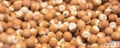 新鲜芡实怎么吃祛湿最好 新鲜芡实煮几分钟能吃