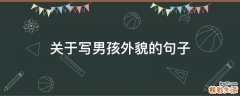 关于写男孩外貌的句子
