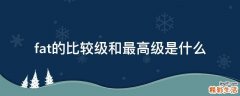 fat的比较级和最高级是什么