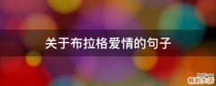 关于布拉格爱情的句子