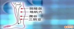 阴陵泉的精确位置 阴陵泉与丰隆哪个祛湿好