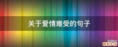 关于爱情难受的句子