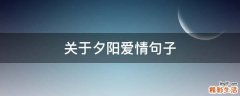 关于夕阳爱情句子
