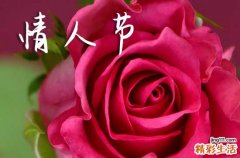 2024情人节祝福语简短