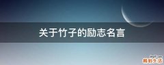 关于竹子的励志名言