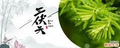 三伏天可以喝姜枣茶祛湿吗 姜枣茶月经期间能喝吗