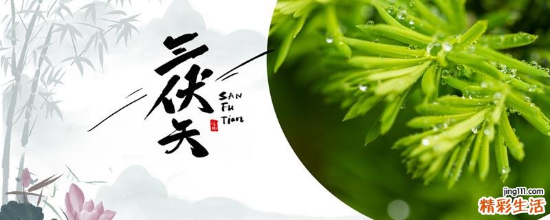 三伏天可以喝姜枣茶祛湿吗 姜枣茶月经期间能喝吗