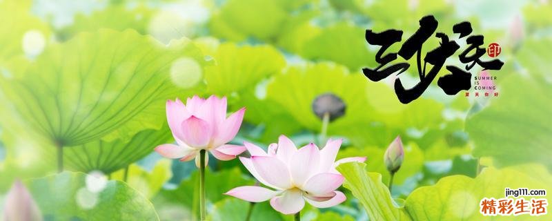 三伏天从哪一天开始计算 三伏天祛湿气最佳时间