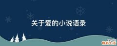 关于爱的小说语录