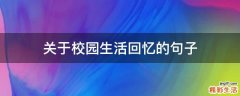 关于校园生活回忆的句子