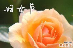 2024三八妇女节短信祝福语
