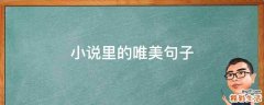 小说里的唯美句子