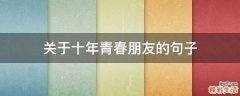 关于十年青春朋友的句子