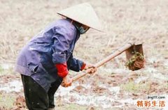 五一节向候朋友祝福语2024