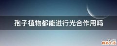 孢子植物都能进行光合作用吗