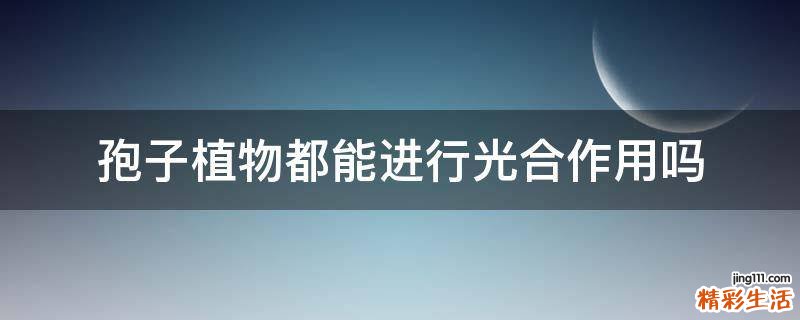 孢子植物都能进行光合作用吗