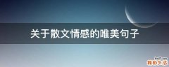 关于散文情感的唯美句子