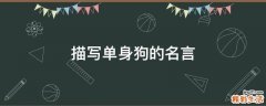 描写单身狗的名言