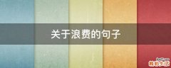 关于浪费的句子