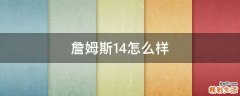 詹姆斯14怎么样