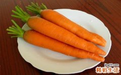 夏天吃什么菜爽口开胃 夏季吃什么菜开胃