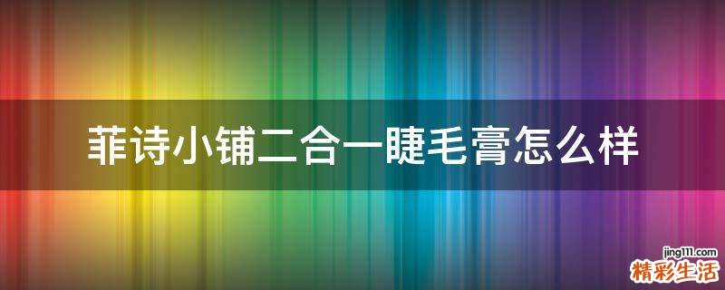 菲诗小铺二合一睫毛膏怎么样