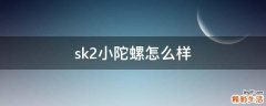 sk2小陀螺怎么样