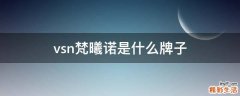 vsn梵曦诺是什么牌子