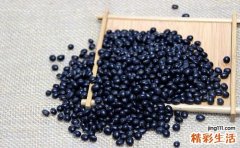 脱发吃什么能长头发