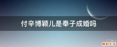 付辛博颖儿是奉子成婚吗