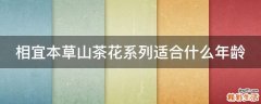相宜本草山茶花系列适合什么年龄