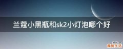 兰蔻小黑瓶和sk2小灯泡哪个好