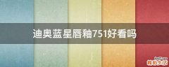 迪奥蓝星唇釉751好看吗