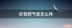 纪皙妍气垫怎么样
