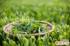 吃什么食物防辐射