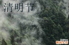 2024清明节日手机祝福语