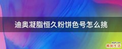 迪奥凝脂恒久粉饼色号怎么挑